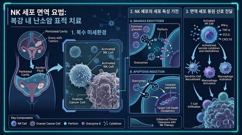 NK세포 난소암 복막 복수 세포독성 메커니즘