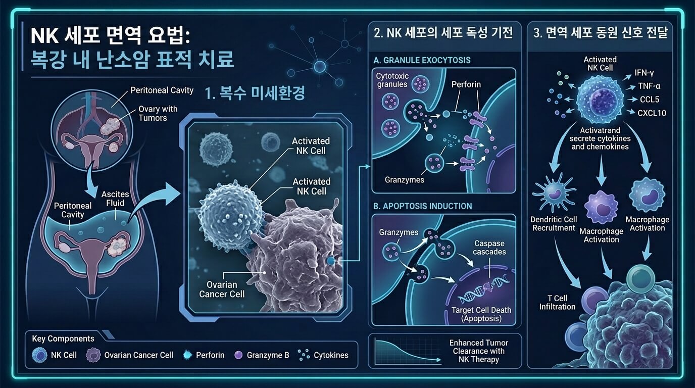 NK세포 난소암 복막 복수 세포독성 메커니즘