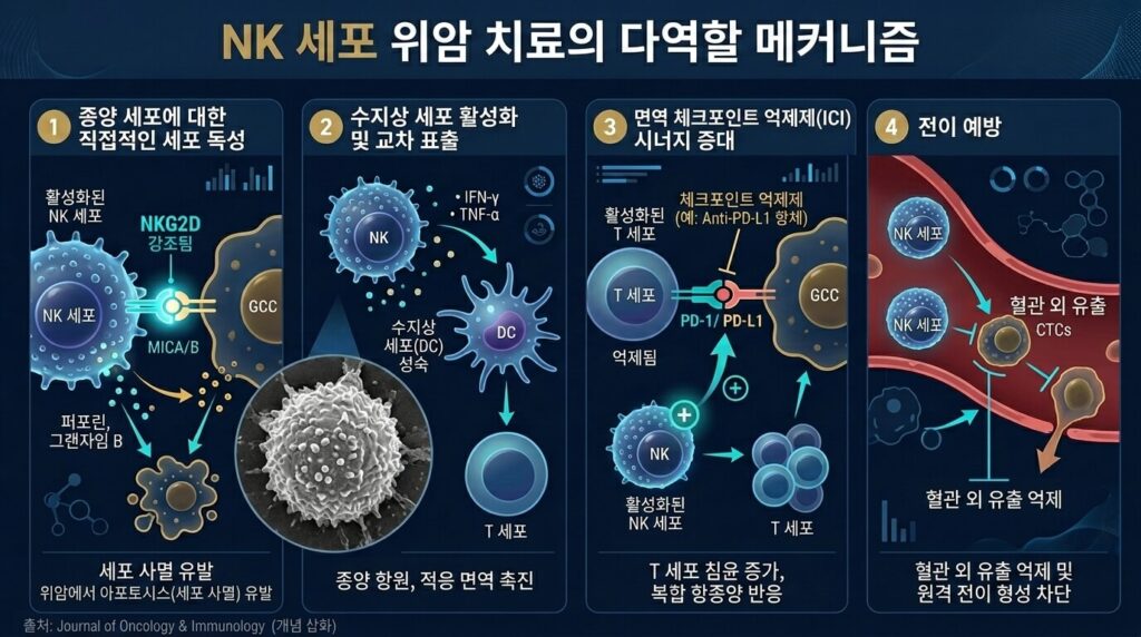 위암 NK세포 4가지 역할 수지상세포 면역관문억제제