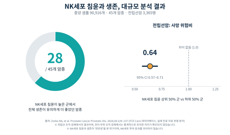 NK세포 침윤이 높은 군에서 생존이 더 좋았던 암종 수와 전립선암 사망 위험비