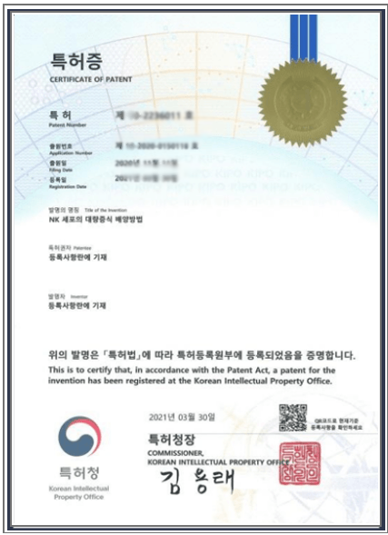 대량배양 특허증